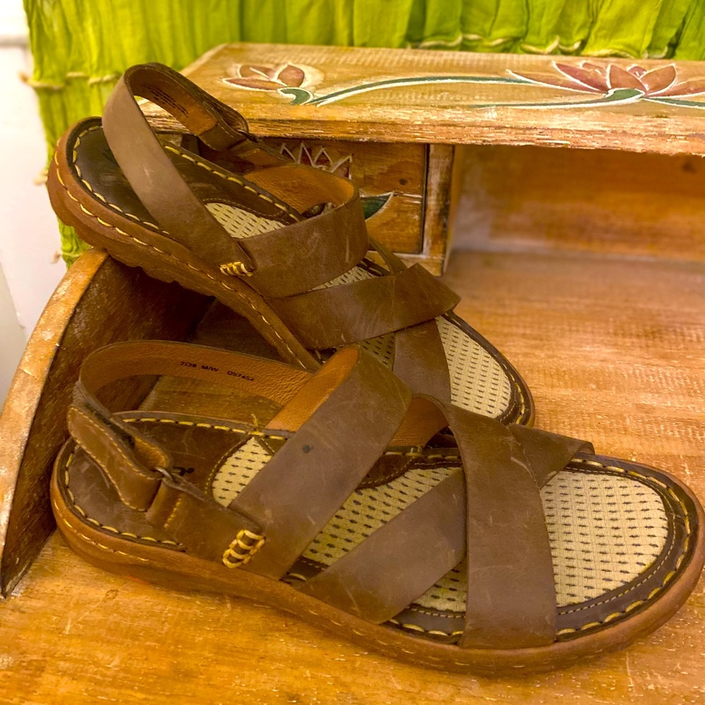 Born Trinidad Basic